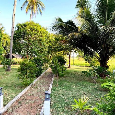 Athyantha Resort アヌラーダプラ エクステリア 写真