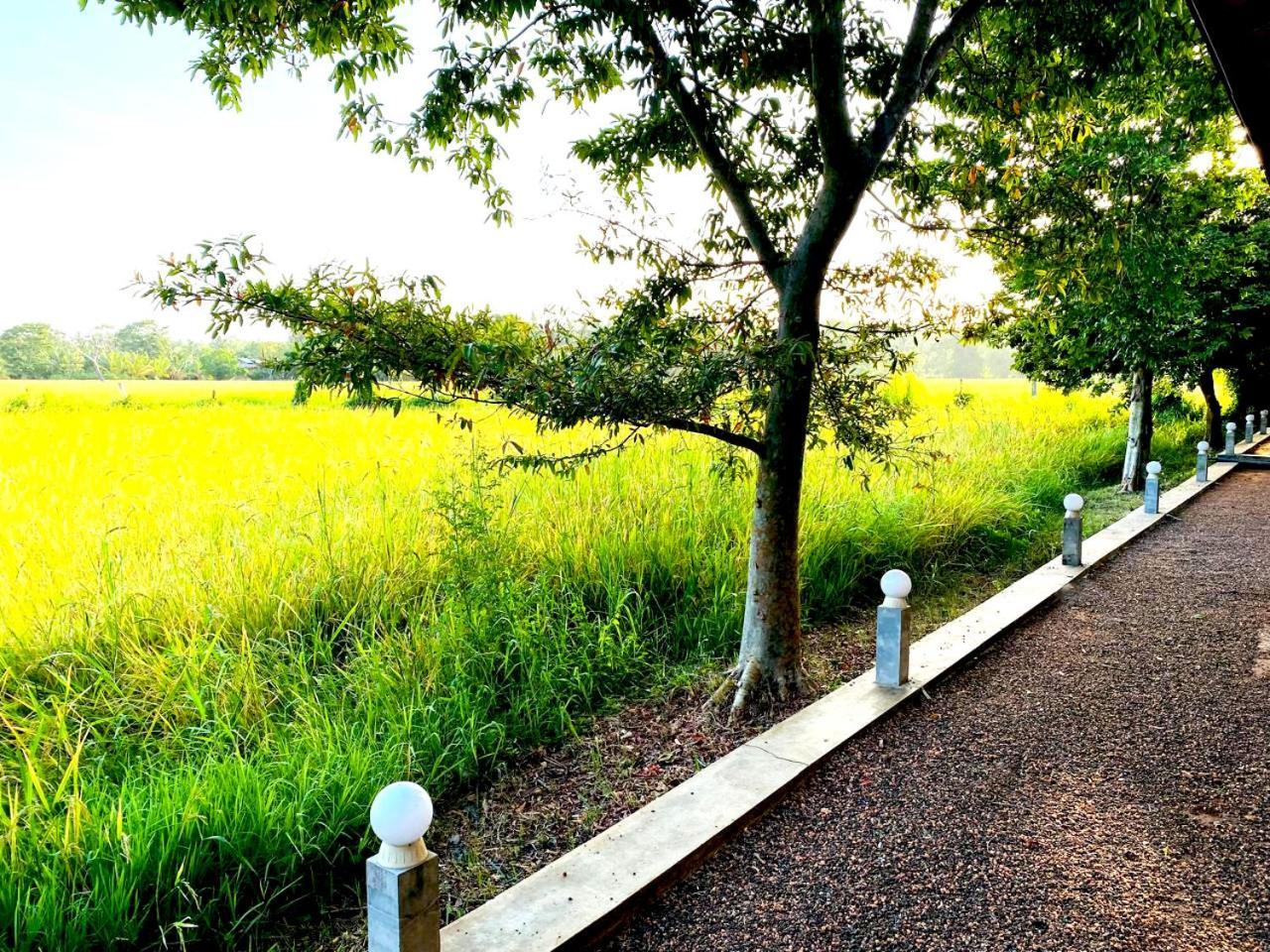Athyantha Resort アヌラーダプラ エクステリア 写真